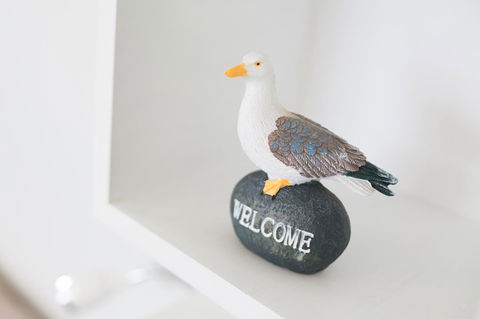 Larus Waterfront Cottage - Accommodation Redcliffe 22