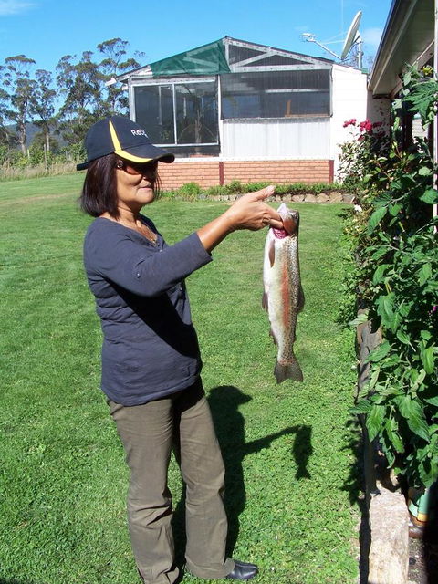 Quamby Pines Chalet - Accommodation Redcliffe 15