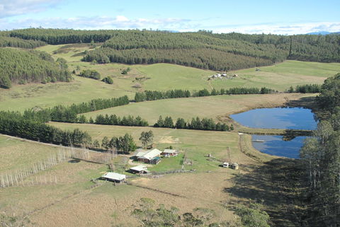 Quamby Pines Chalet - Accommodation Redcliffe 7
