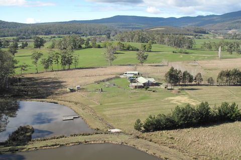 Quamby Pines Chalet - Accommodation Redcliffe 9