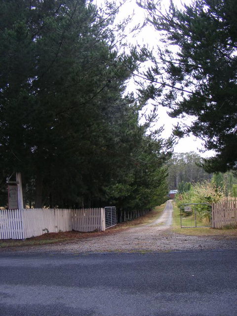 Quamby Pines Chalet - Accommodation Redcliffe 2