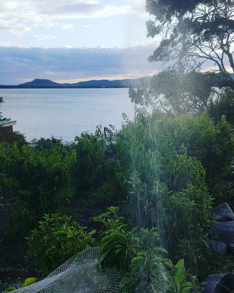 AppleBay Guest House - Accommodation Redcliffe 31