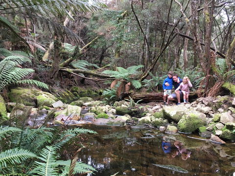 Derby Forest Cabins - Accommodation Redcliffe 17