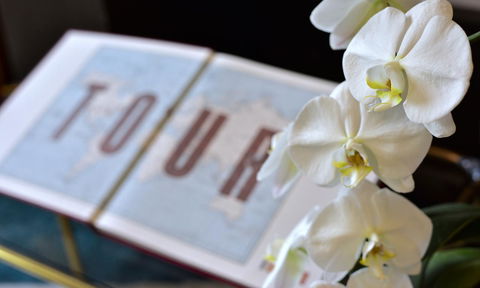 Lotus Gogh Apartment - Accommodation Redcliffe 6