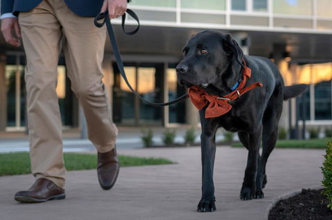 Peppers Silo - Accommodation Redcliffe 44