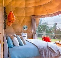Domescapes in the Vines - Accommodation Redcliffe