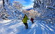 Buller Central Hotel - thumb 13