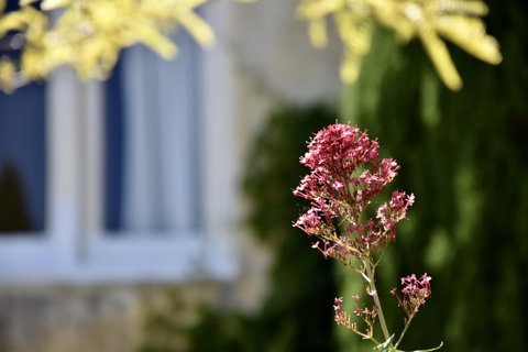 Villa Mallorca - Accommodation Redcliffe 28