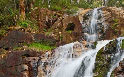 Marysville Caravan And Holiday Park - Accommodation Redcliffe 37