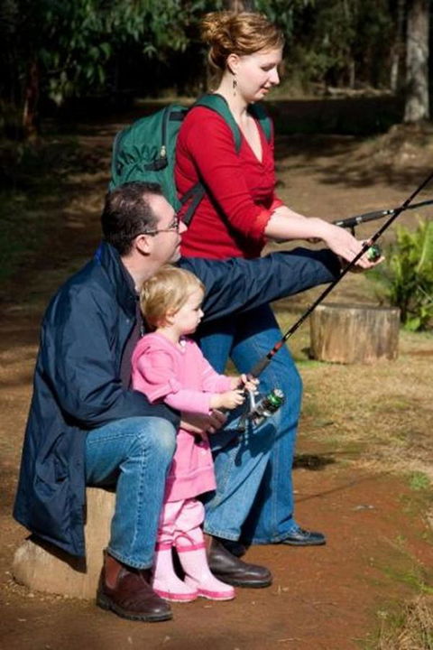 Marysville Caravan And Holiday Park - Accommodation Redcliffe 22