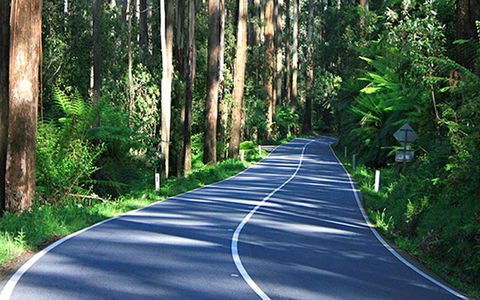 Marysville Caravan And Holiday Park - Accommodation Redcliffe 40