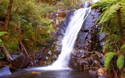 Marysville Caravan And Holiday Park - Accommodation Redcliffe 32