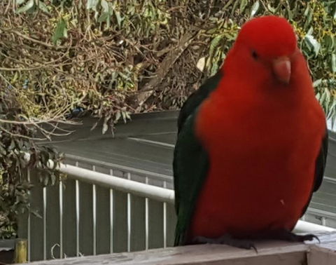 Wilsons Promontory Motel - Accommodation Redcliffe 23