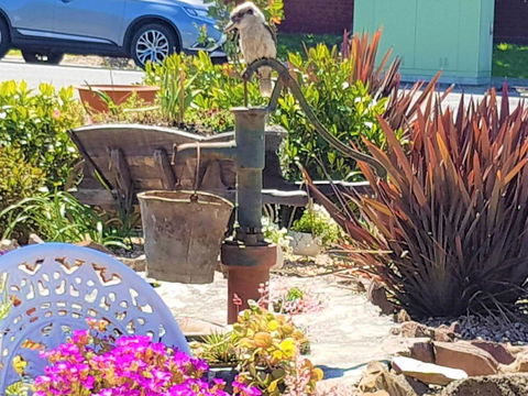 Wilsons Promontory Motel - Accommodation Redcliffe 8