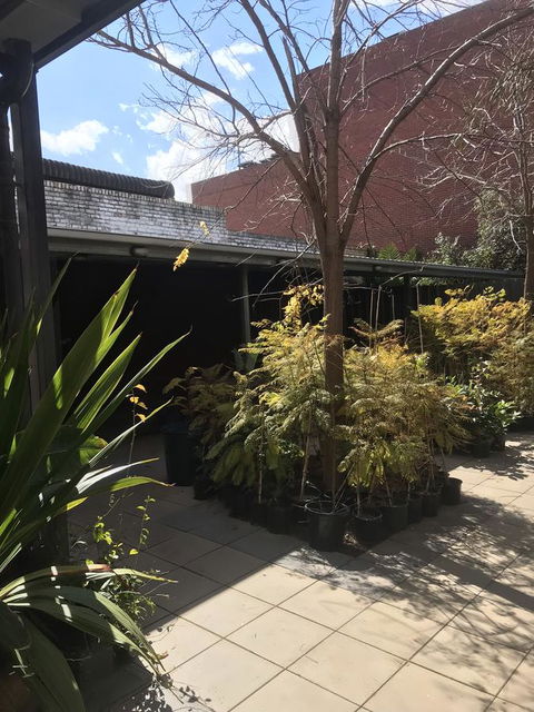 CROWN CENTRAL BUSINESS DISTRICT MOTEL - NO UNDER 18s - Accommodation Redcliffe 15