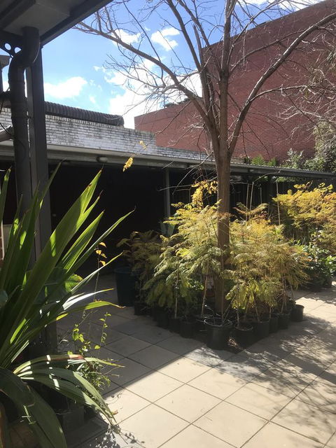 CROWN CENTRAL BUSINESS DISTRICT MOTEL - NO UNDER 18s - Accommodation Redcliffe 21