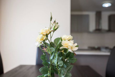 Holiday Rose - Accommodation Redcliffe 8