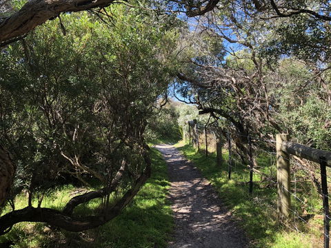 Beautiful, Cosy And Quiet - Accommodation Redcliffe 20