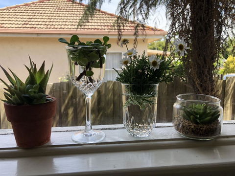 Growse House Yarram 3BR - Accommodation Redcliffe 10