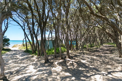 Fairhills - NEW LISTING, Beautifully Styled - Accommodation Redcliffe 12