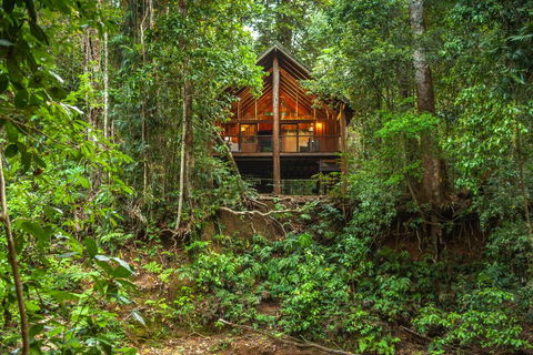 The Canopy Rainforest Treehouses & Wildlife Sanctuary - Accommodation Redcliffe 0