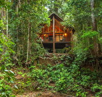 The Canopy Rainforest Treehouses  Wildlife Sanctuary - Accommodation Redcliffe