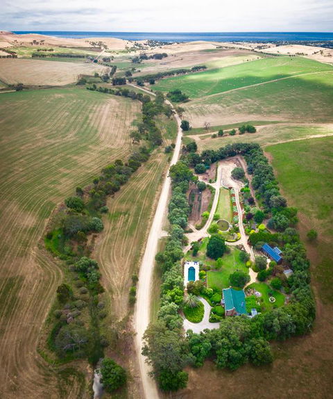 The Garden Cottage At The Olives - Accommodation Redcliffe 3