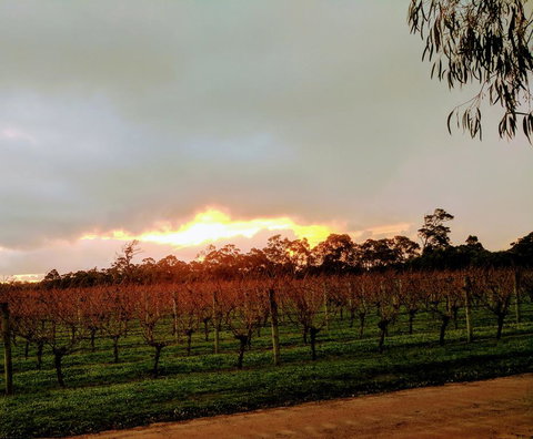 The Grove Distillery & Brewery - Accommodation Redcliffe 2