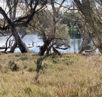 The Lake House - Accommodation Redcliffe