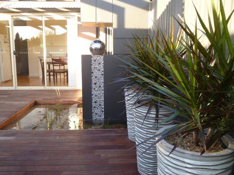 The Wet Lizard - Accommodation Redcliffe 0