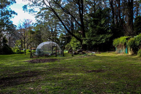 Tomah Retreat - Relax With Studio BREATHE - Accommodation Redcliffe 1