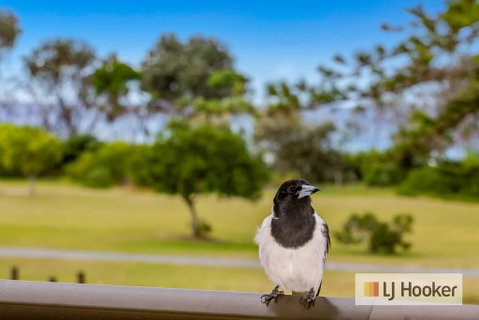 TRADEWINDS 1 - Accommodation Redcliffe 1