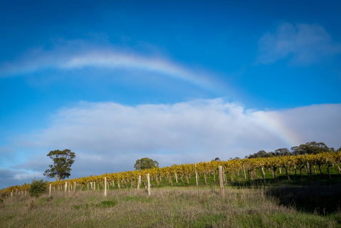 Triple Creek Guest House - Barossa Region - Accommodation Redcliffe 2