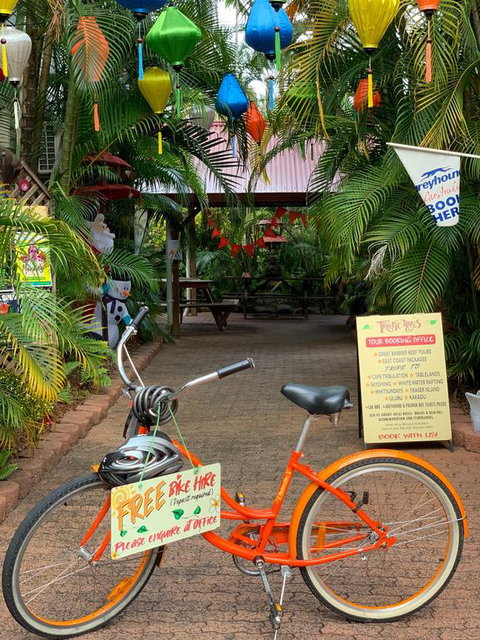 Tropic Days Boutique Hostel - Accommodation Redcliffe 3