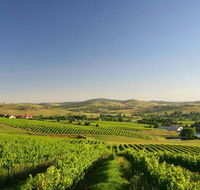 Turners Vineyard Motel - Accommodation Redcliffe