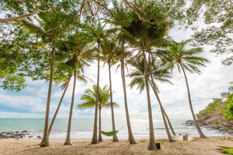 Turtle Cove Beach Resort - Adults Only LGBTQIA & Allies - Accommodation Redcliffe 3