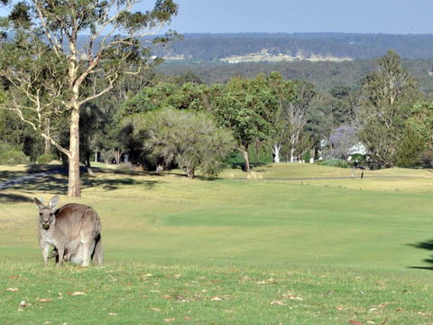 Villa 3br Beaujolais Luxe + Style Resort Condo Located Within Cypress Lakes Resort (nothing Is More Central) - Accommodation Redcliffe 1