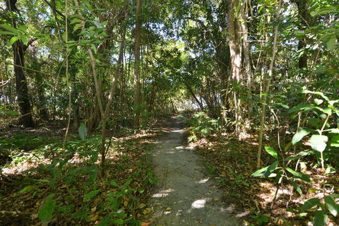 Villa Frangipani - Accommodation Redcliffe 2