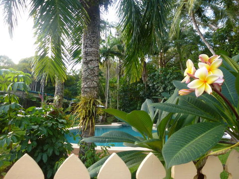 Villa Marine Holiday Apartments Cairns - Accommodation Redcliffe 1