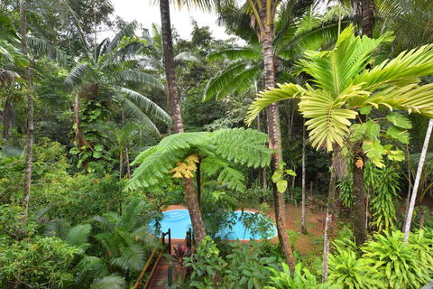 Wait A While Daintree - Accommodation Redcliffe 3