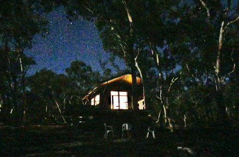 Wallabies Rest - Accommodation Redcliffe 2