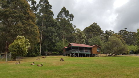 Walpole Wilderness Resort - Accommodation Redcliffe 0