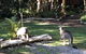 Wanderers Retreat - thumb 3