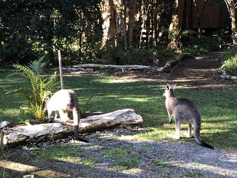Wanderers Retreat - Accommodation Redcliffe 3