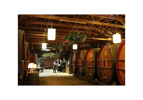 Wanderlight Motor Inn - Accommodation Redcliffe 2