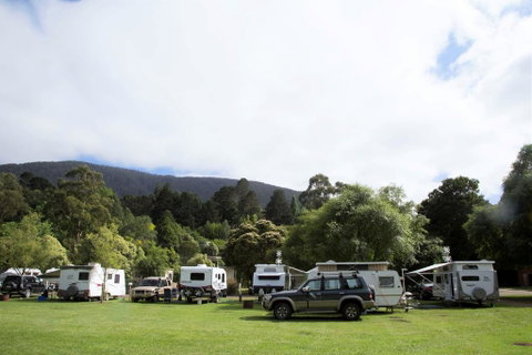 Warburton Holiday Park - Accommodation Redcliffe 0