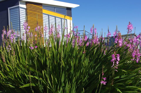 Watercolours - Accommodation Redcliffe 1