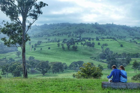 Waterfall Way Farmstay - Accommodation Redcliffe 2