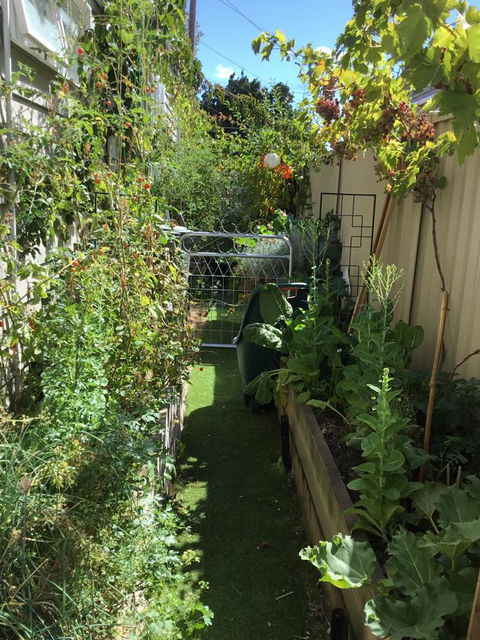 Redruth Cottage - Accommodation Redcliffe 7