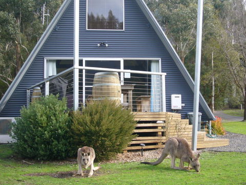 The A-Frame - Accommodation Redcliffe 10